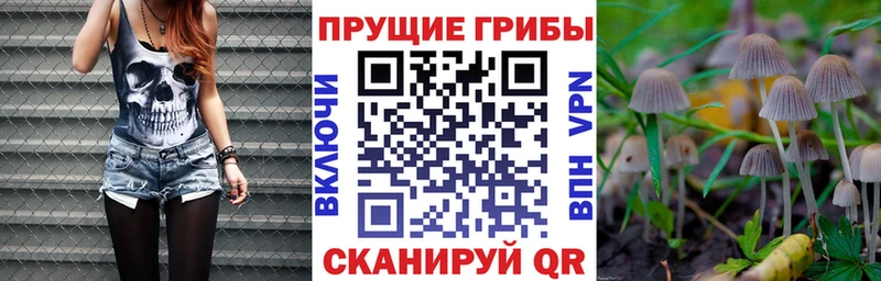сколько стоит  Волгодонск  кракен tor  Галлюциногенные грибы Cubensis 
