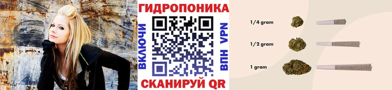 Бошки Шишки гибрид  Волгодонск 